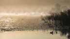 la luce del mattino la luce del mattino