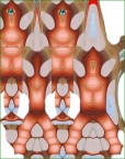 La RIVISTA : inizia lo spettacolo