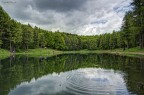 lago della ninfa lago della ninfa