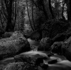 The forbidden river The forbidden river