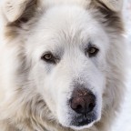 Sguardo bruciato su bianco... Sguardo bruciato su bianco...