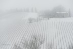 NevBia
