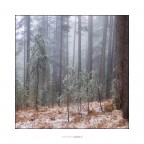 Vi ho trovato Vi ho trovato