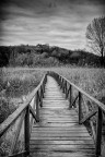 Il Ponte