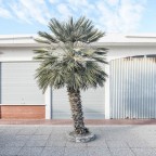 Cervia, 8 gennaio Cervia, 8 gennaio