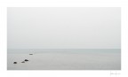 2016/4795 2016/4795