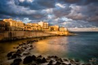 ortigia ortigia