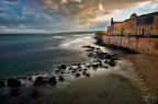 ortigia ortigia