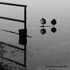 Equilibrismi Equilibrismi