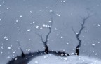 Inverno Astratto
