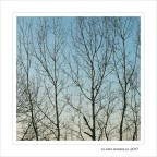 Silenzio...parla l'inverno Silenzio...parla l'inverno