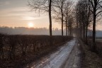 Pathway