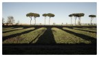 Appia Appia