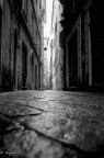vIColI vIColI