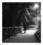 camminando camminando