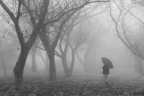 La magia della nebbia La magia della nebbia
