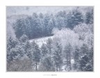 Grande Inverno