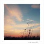 Povere...bellezze Povere...bellezze