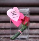 Amore!!!!!!!! Amore!!!!!!!!