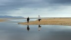 fuerteventura,playa de jandia...febbraio 2017(scatto con cellulare)