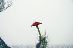 Fungo alieno (monotonie padane). Fungo alieno (monotonie padane).