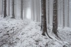 Winter's magic