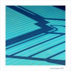 Celeste...alla griglia Celeste...alla griglia