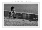 ::: L O O K I N G F O R ::: ::: L O O K I N G F O R :::