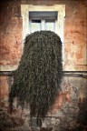 La barba La barba