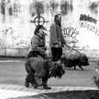 La passeggiata La passeggiata