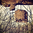 Linee & Forme Linee & Forme