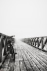 una giornata di nebbia..... una giornata di nebbia.....
