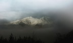 nebbia mattutina nebbia mattutina