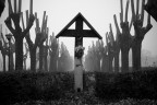 The cross The cross