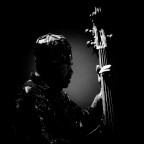 Il contrabbassista Il contrabbassista