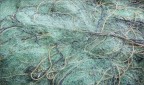 Sapore di mare img.045
