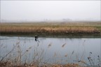 Sul canale