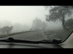 Fog Fog