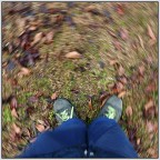 Qualcosa che gira! Qualcosa che gira!