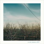 Spogli inverni... Spogli inverni...