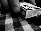 lo Stato ci avvisa, lo Stato uccide. lo Stato ci avvisa, lo Stato uccide.