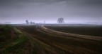 Bassa padana Bassa padana