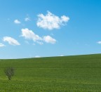 sine titulo sine titulo