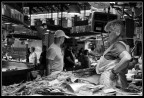 La pescheria La pescheria