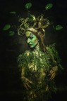Dryad Dryad