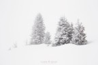 Persi nell'inverno