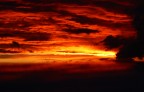 v...fire