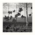 nel vento ... ;/) nel vento ... ;/)