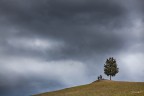 solitario? solitario?