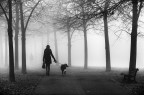 A foggy day